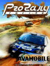 Pro Rally Racing